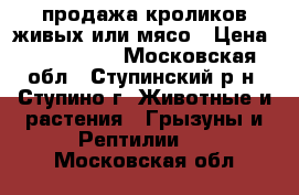 продажа кроликов живых или мясо › Цена ­ 500-700. - Московская обл., Ступинский р-н, Ступино г. Животные и растения » Грызуны и Рептилии   . Московская обл.